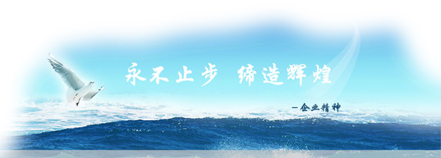 The website of Shenzhen brilliant Star Electronics Co., Ltd. was successfully revised and launched!
